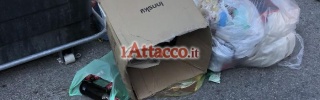 fg_macchiagialla04