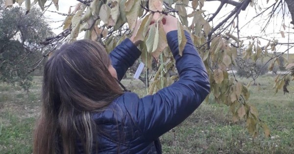 A scuola di legalità con 'La strada': a Cerignola in azione i giovani operai dell'antimafia sociale
