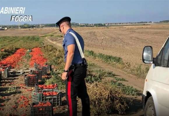 Finiti in carcere imprenditori agricoli recidivi dello sfruttamento. Braccianti costretti a turni di lavoro estenunati e sottopagati