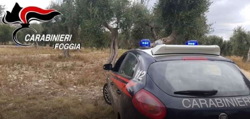 Minacce e terrore per imporre la propria egemonia nel settore della raccolta olivicola. Arrestato 40enne di San Giovanni
