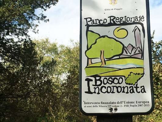 Raccolta Plastic Free presso il Parco dell'Incoronata. Domenica la giornata dedicata alla pulizia dell'area naturale