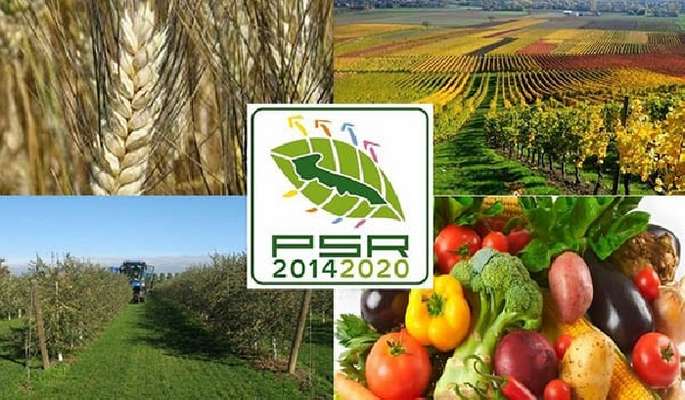 Disastro annunciato Psr e fondi comunitari. La Puglia (ultima) rischia di perdere 86 milioni di euro