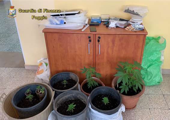San Nicandro Garganico, commerciante trovato con droga e soldi in casa: arrestato