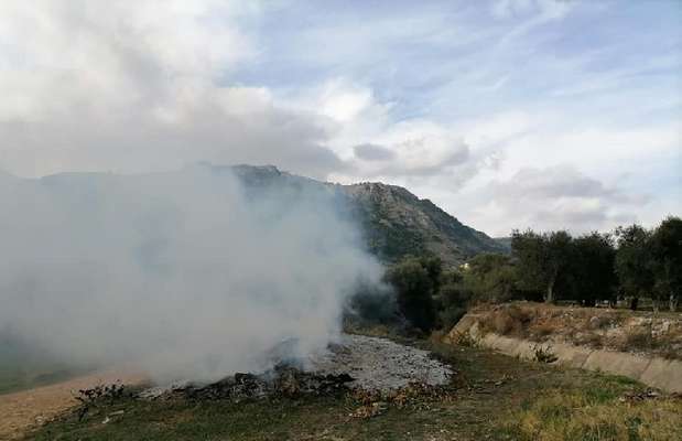 Mattinata, fiamme nel vallone Carbonara. Non sono potature olearie ma altri rifiuti