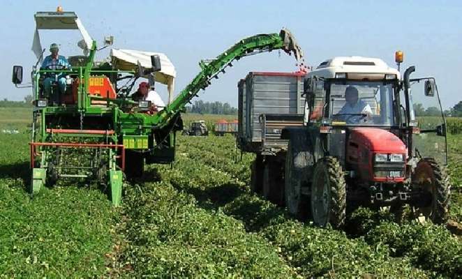 Coldiretti Puglia: Bene allarme Corte dei Conti su Psr, non spesi 257 milioni in agricoltura