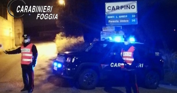 Carpino, evadono dai domiciliari con la mascherina: i carabinieri li riconoscono e li arrestano