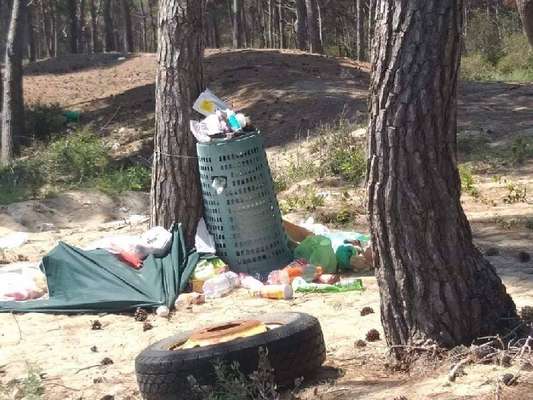 I soliti sporcaccioni e incivili deturpano la pineta di Marina di Lesina
