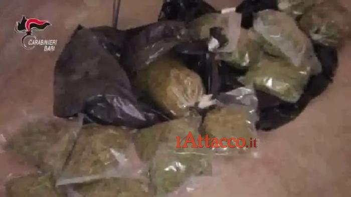 Mafia, il clan di Altamura si riforniva di droga da Cerignola. Arrestati i capi cosca