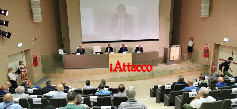 VIDEO | Filiera del legno, dai boschi nuove opportunità per l'economia del Gargano