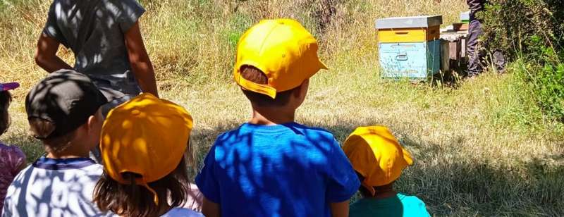 FestambienteSud, programma verrà svelato a Bari: appuntamenti dal 23 luglio al 2 agosto