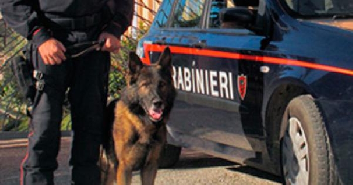 Cerignola, carabinieri sequestrano munizioni da guerra, droga e kit rapinatore. Arrestato 25enne