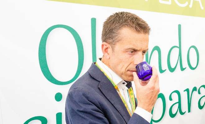 Olio, addio a una bottiglia su due: in Capitanata qualità  ottima, ma produzione dimezzata