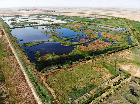 Salviamo l'oasi Lago Salso: centinaia di adesioni all'appello lanciato da Pratesi e Furlani