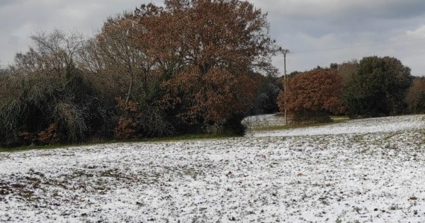 Morsa di gelo con neve a bassa quota e lastre di ghiaccio: strade bloccate e verdure bruciate in campo