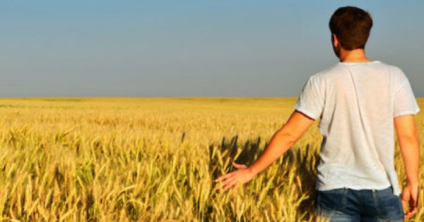 Nel 2020 record giovani in agricoltura: da next generation Eu e fondi strutturali sostegno a idee green
