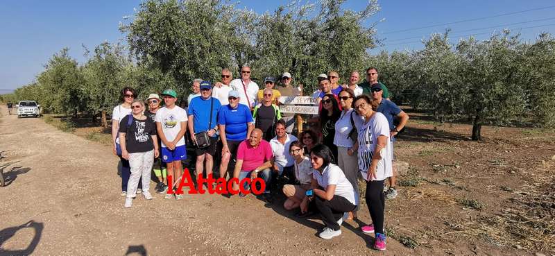VIDEO | Alla scoperta di tratturi e antichi cammini, Paesaggiando: per unire comunità e valorizzare il territorio