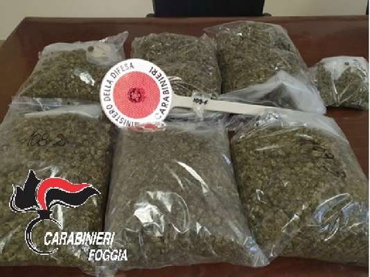 Cerignola, carabinieri beccano un 52enne con parecchie dosi di marijuana: arrestato