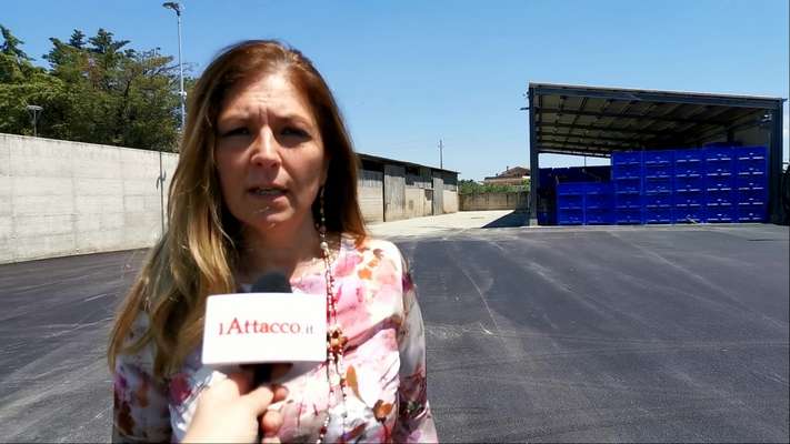 VIDEO | Il nostro motto è puntare sulla alta qualità della Peranzana, Maria D'Aloia e la coop Adar scaldano i motori in vista della prossima stagione olivicola