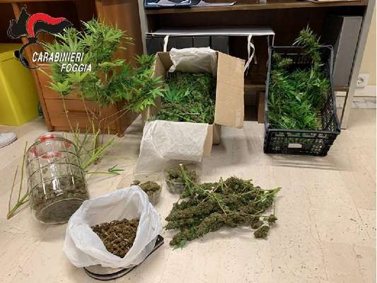 Controlli antidroga a Manfredonia e Vieste, arrestati un giovane incensurato e una donna