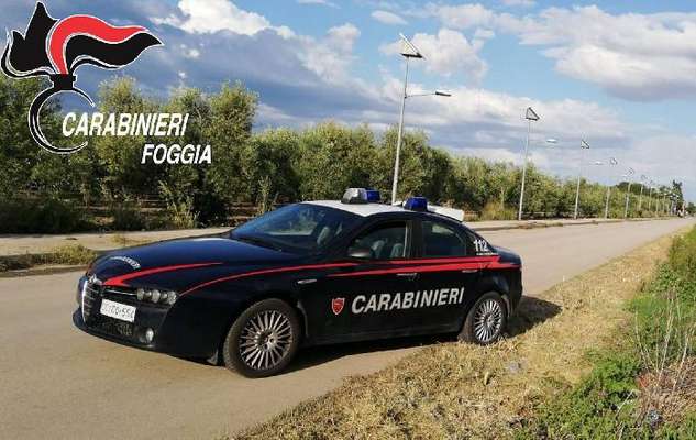 Cerignola, gruppo beccato a rubare olive in un terreno: arrestato un 39enne noto alle forze dell'ordine