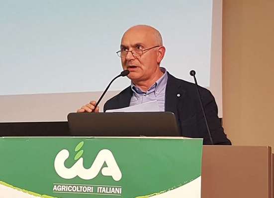 Puglia del vino, qualità e sostegno alla filiera per ripartire