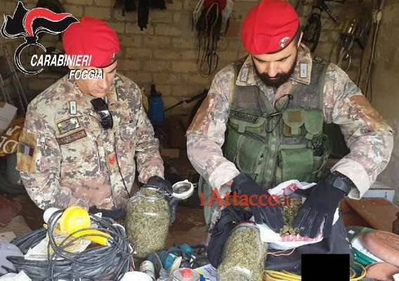 Aveva due chili di droga in casa, in manette olivicoltore 45enne di Vieste