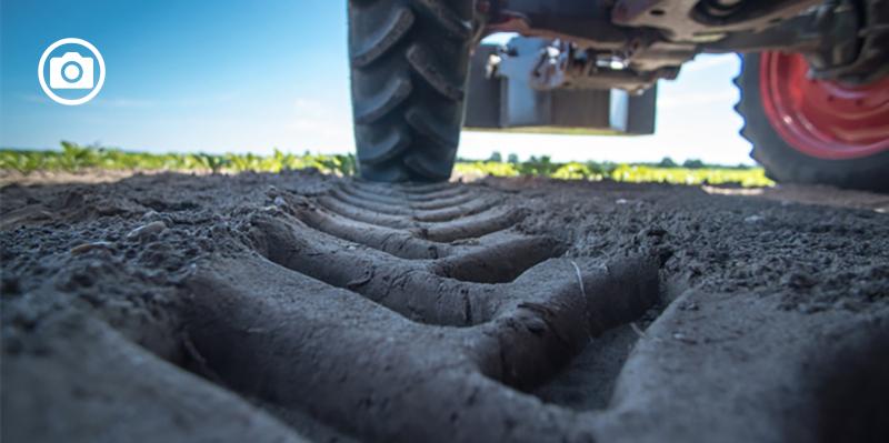 Cresce in modo vertiginoso l’export dei prodotti agricoli di Capitanata (+62%)