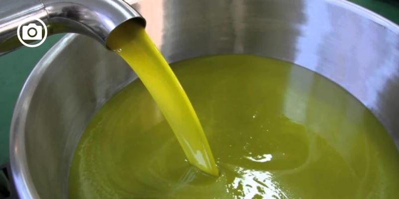 Olio: aprono i frantoi, ma è calo generalizzato della produzione