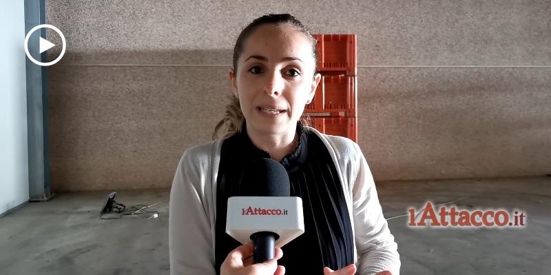 Campagna olivicola con due incognite: il caldo fuori stagione e il caro energia