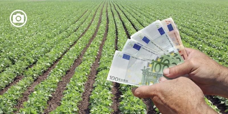 Contributi Covid a fondo perduto, sequestro da 300.00 euro della Guardia di Finanza Foggia