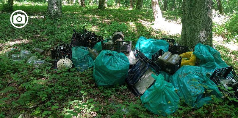 Bosco Quarto, abbandonati bustoni di rifiuti contenenti tazze, bottiglie e bicchieri. “Non è la prima volta”