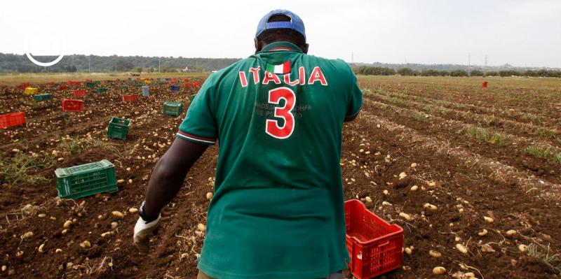 Temperature salgono fino a 43 gradi, Emiliano emana ordinanza per lavoro nei campi. Vietato dalle 12,30 alle 16