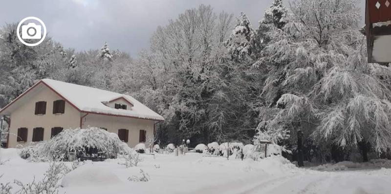 La Foresta Umbra coperta di neve offre uno paesaggio straordinario 