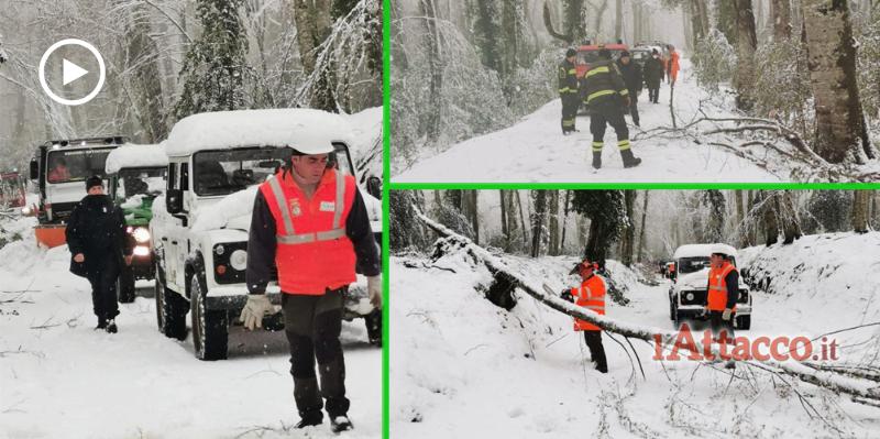 Strade ostruite da copiosa nevicata liberate da intervento di ARIF e Carabinieri Forestali. Il video
