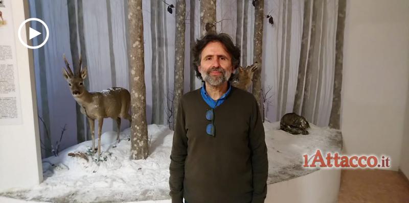 Il Museo di Storia Naturale celebra il Darwin Day 