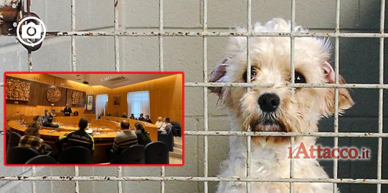 Partito anche a Manfredonia il progetto Zero cani in canile, costituita la task force di lavoro