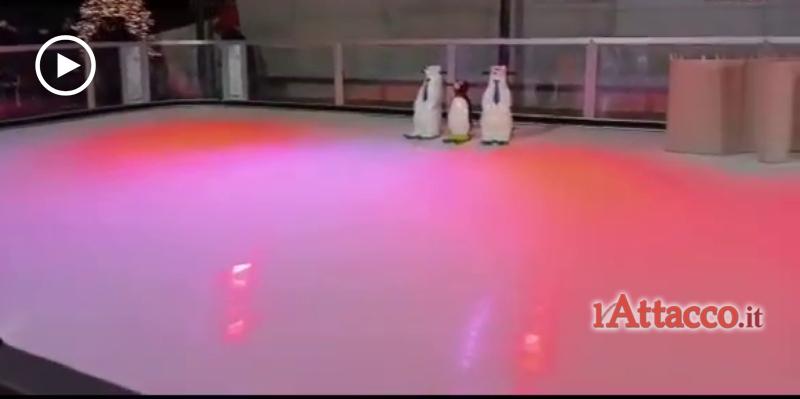 Pista di pattinaggio sul ghiaccio, taglio del nastro a Lucera