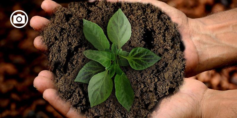 Poggio Imperiale, incontro su produzioni etiche e agricoltura sociale