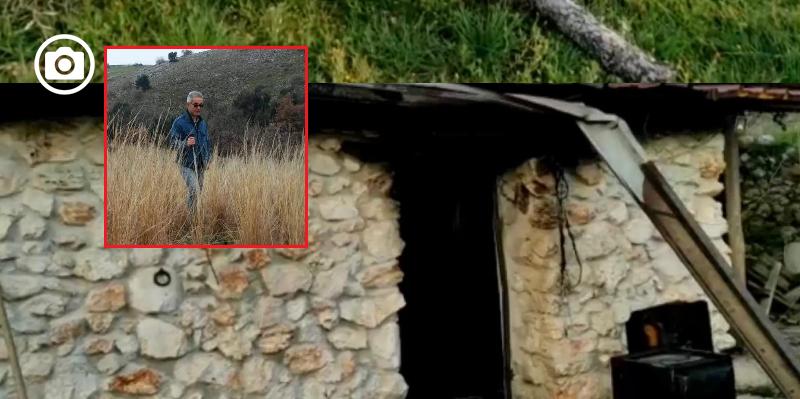 Per il Wwf Foggia è ‘emergenza Gargano’. “Non basta condannare, c’è connivenza all’illegalità”