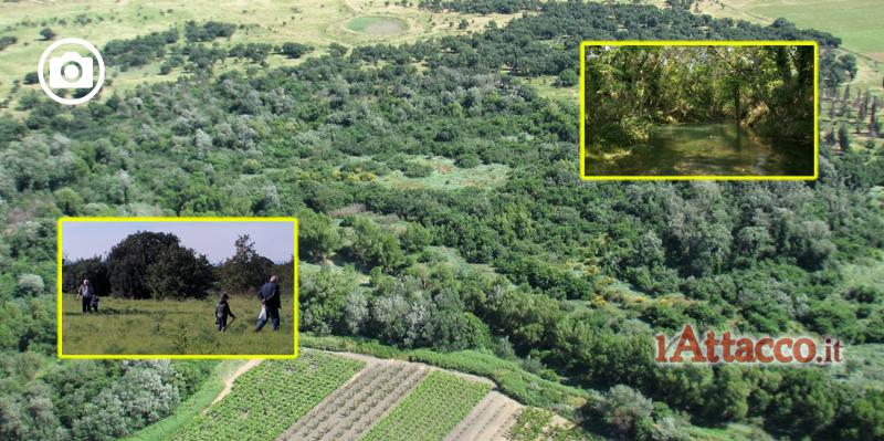 Pulizia Bosco Incoronata e di tratto del Torrente Cervaro, WWF Foggia: “Ripartiamo dalla natura”