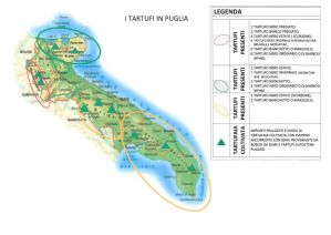 CARTINA_TARTUFI_PUGLIA